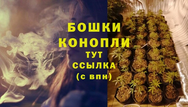 шишки Киренск