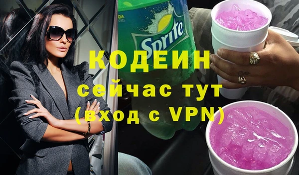 шишки Киренск