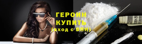 стаф Тайга