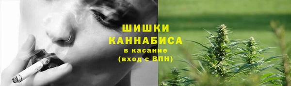 шишки Киренск