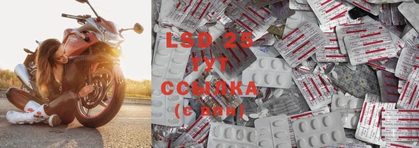 индика Покачи
