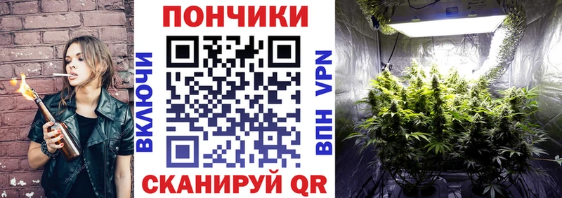 Канабис план  Медвежьегорск 